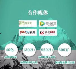 央美爆料实时新闻网站,揭秘艺术界最新动态，独家新闻实时更新